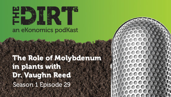 Promotional image for The Dirt PodKast featuring a microphone, with text 'The Role of Molybdenum in plants, Season 1 Episode 29'