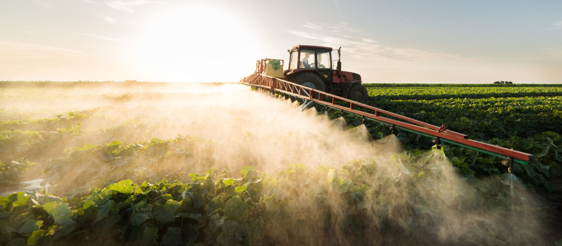 Farmer on a tractor with a sprayer makes fertilizer for young vegetables.