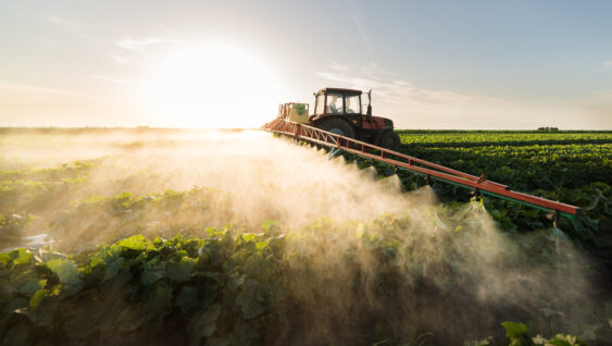 Farmer on a tractor with a sprayer makes fertilizer for young vegetables.