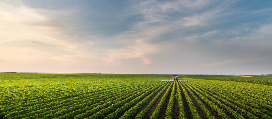 Tractor spraying soybean field in sunset.