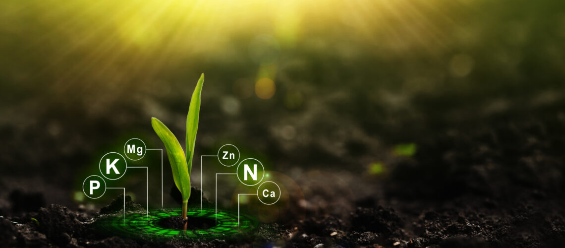An almond sprout with a graphic of the nutrients in the soil.