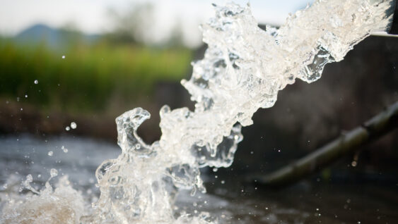 Clean water rushing out from a public irrigation pipe for agriculture use.
