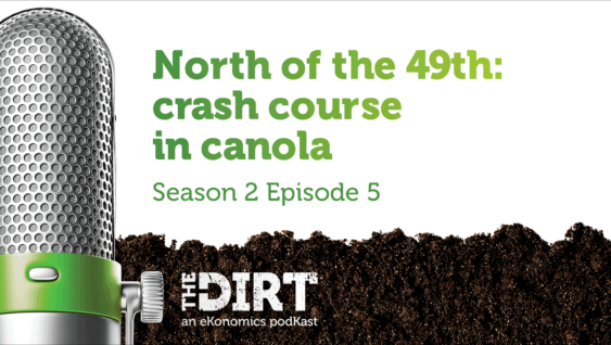 Promotional image for The Dirt PodKast featuring a microphone, with text 'North of the 49th: crash course in canola, Season 2 Episode 5'