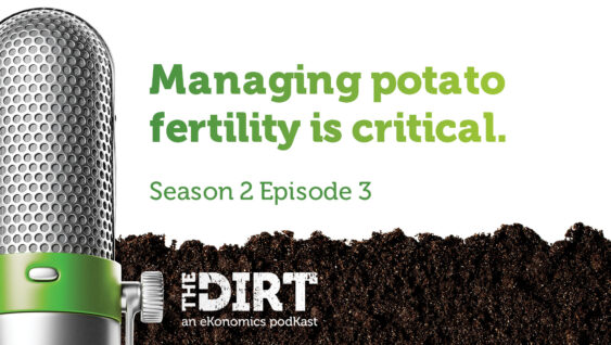 Promotional image for The Dirt PodKast featuring a microphone, with text 'Managing potato fertility is critical, Season 2 Episode 3'