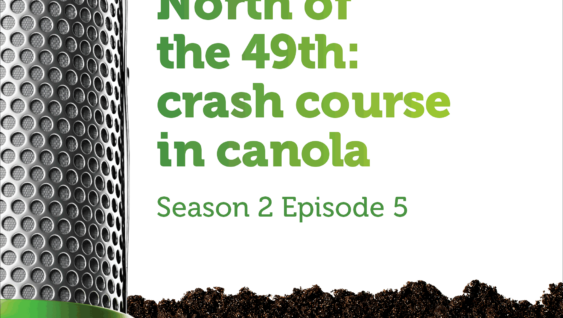 Promotional image for The Dirt PodKast with text 'Season 2 Episode 5'