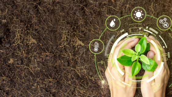 An agronomists hands holding a young plant with a cyber display of technological factors.
