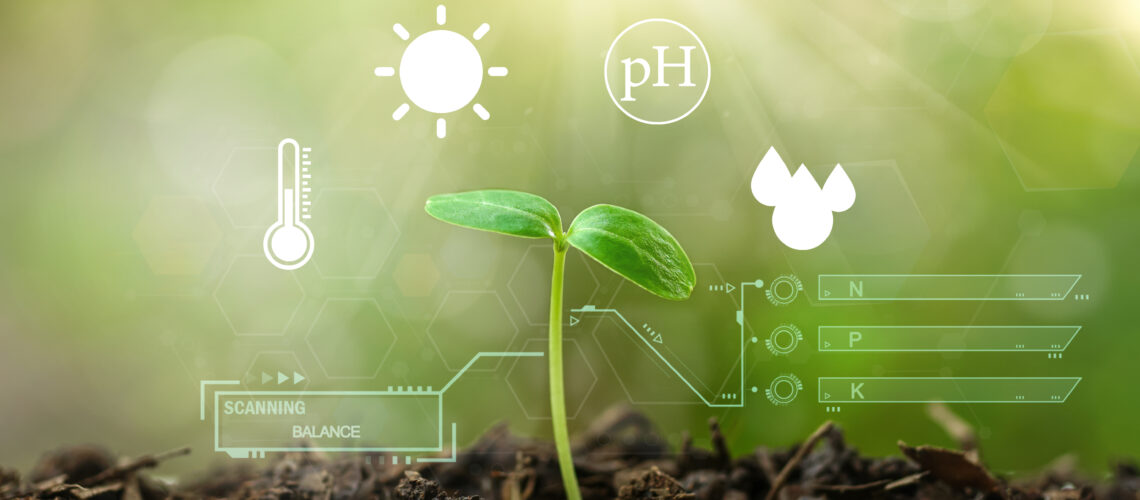A small seedling with cyber graphics of the influential soil factors involved.
