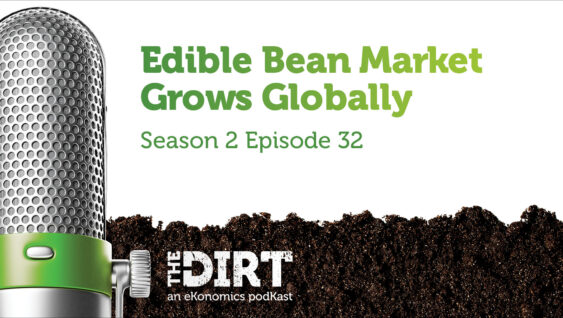 Promotional image for The Dirt PodKast featuring a microphone, with text 'Edible Bean Market Grows Globally, Season 2 Episode 32'