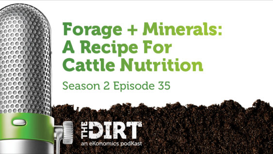 Promotional image for The Dirt PodKast featuring a microphone, with text 'Forage + Minerals: A Recipe For Cattle Nutrition, Season 2 Episode 35'