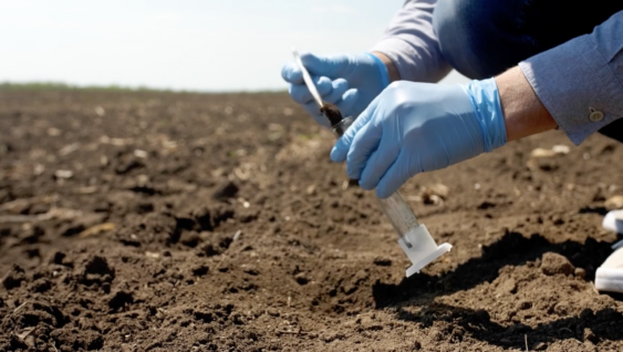 An agronomist placing soil in a test tube to test nitrogen levels.