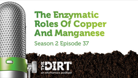 Promotional image for The Dirt PodKast featuring a microphone, with text 'The Enzymatic Roles of Copper and Manganese, Season 2 Episode 37'