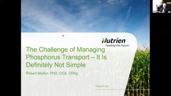 The Challenge of Managing Phosphorus Transport