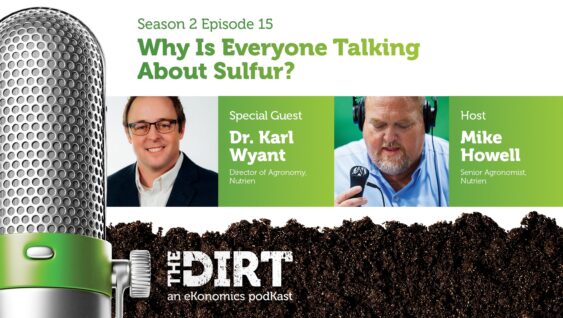 Promotional image for The Dirt PodKast featuring a microphone, with text 'Why is Everyone Talking About Sulfur?'