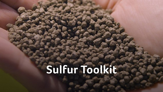 Image of sulfur fertilizer granules in hand with the text 
