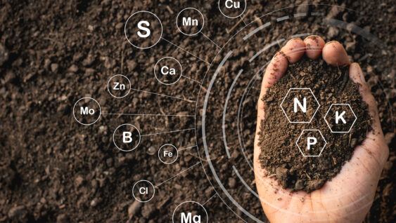 A hand full of soil with illustrations of the main nutrients required by crops – NPK and micronutrients