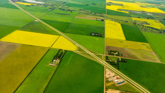 aerial view of saskatchewan farms growing wheat and canola