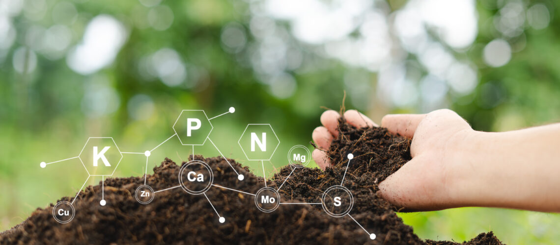 Testing fertile soil outdoors in close-up and with needed for planting. future agriculture Smart farming using modern agricultural technology to check soil quality control before planting seeds.