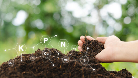 Testing fertile soil outdoors in close-up and with needed for planting. future agriculture Smart farming using modern agricultural technology to check soil quality control before planting seeds.