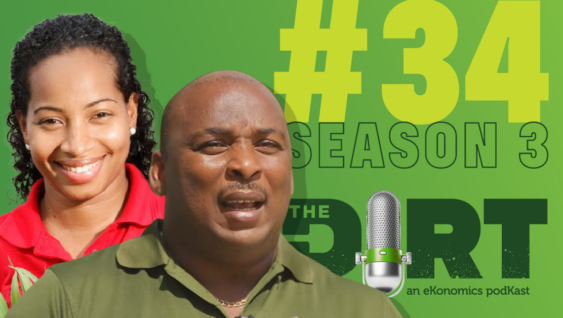 Promotional image for The Dirt PodKast with text 'Season 3 Episode 34'