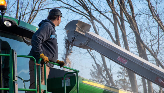 farmer loading fertilizer into tractor using belt loader