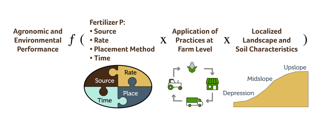 Figure 2. Conceptual model to evaluate the agronomic and environmental performance of phosphorus fertilizer.