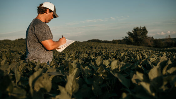 Farmer in Soybean Field with Notebook