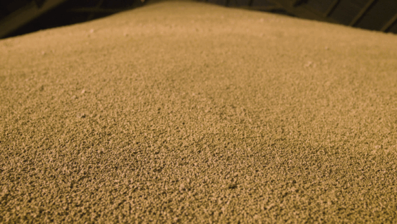 pile of phosphorus granules in fertilizer storage shed