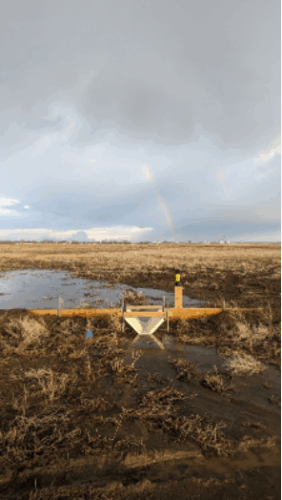 Image of flume installed at the exit location of the surface ditch from the drained depression taken in late spring of 2023.