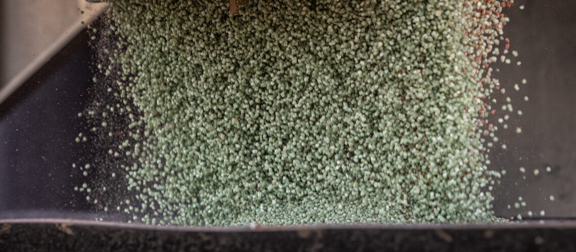 Close-up view of dry fertilizer granules being dispensed from farm equipment into a spreader.