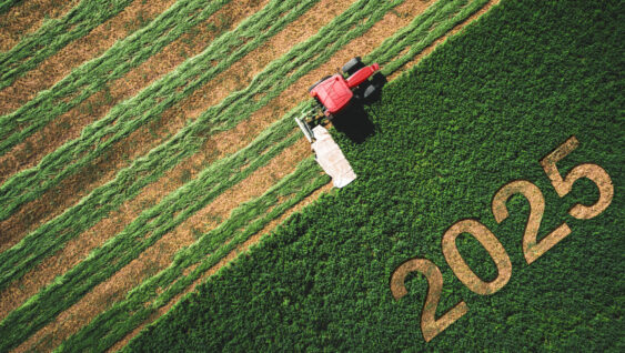 Red tractor harvesting a field with the year 2025 carved into the crop, symbolizing another year of crop nutrition insights harvested for growers.