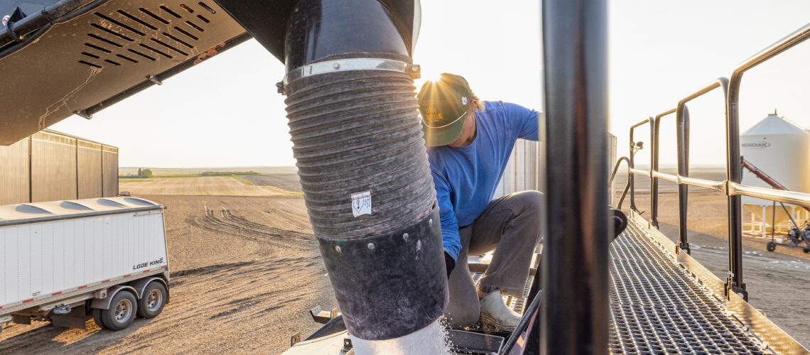 Farmer unloading granular fertilizer into equipment in a corn field at sunset, illustrating nutrient management in corn production.