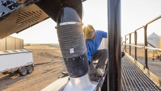 Farmer unloading granular fertilizer into equipment in a corn field at sunset, illustrating nutrient management in corn production.